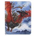 Dragon Shield Signature Series Art Zipster 360 Album - The Raid