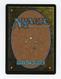 Marsh Flats — Borderless|Dragonscale Foil — ID 17683