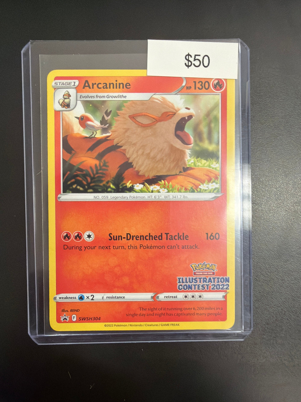 Pokemon Illustration Contest Arcanine #SWSH304