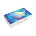 Pokemon Terapagos EX Ultra Premium Collection 4 Box Case