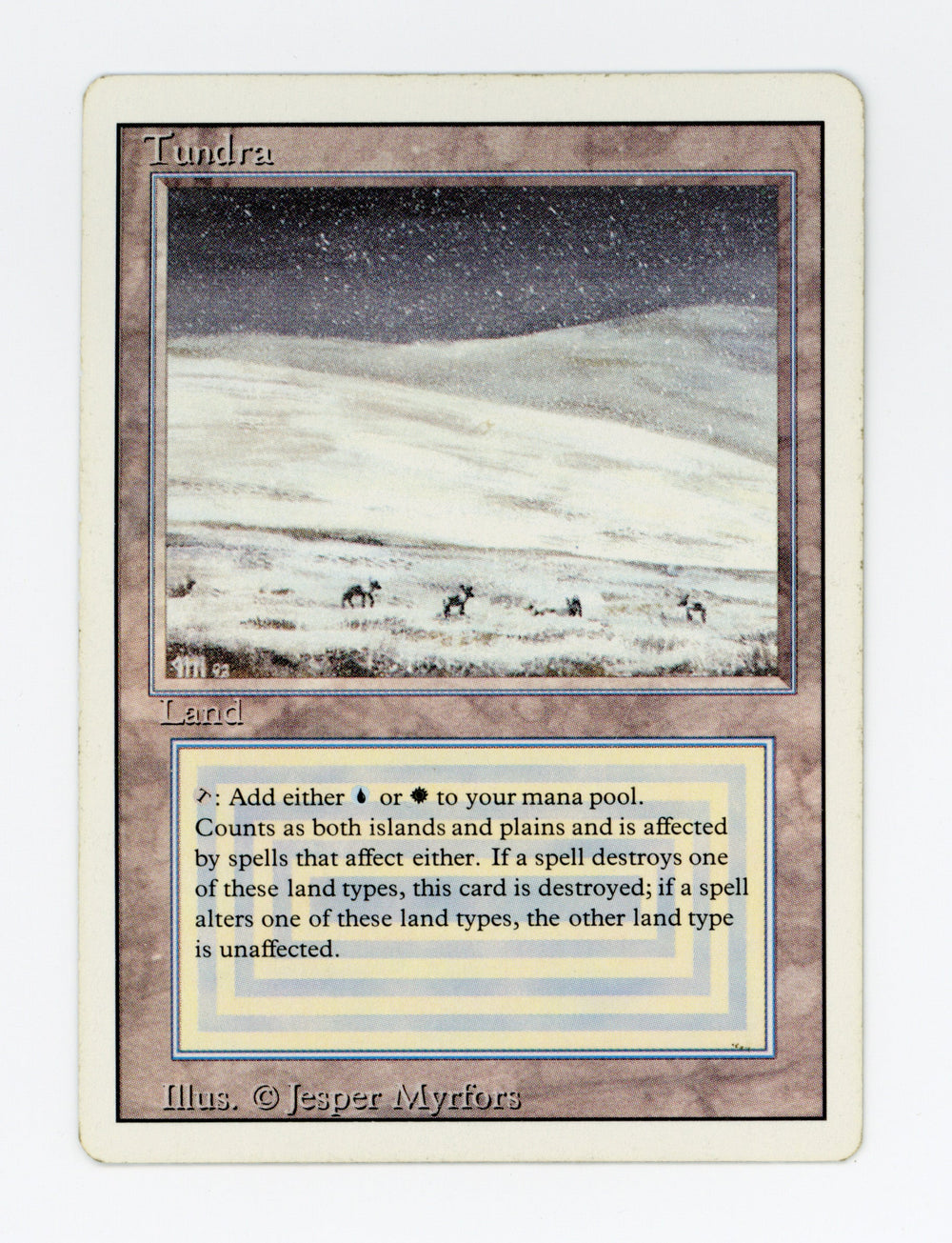 Tundra — ID 17095