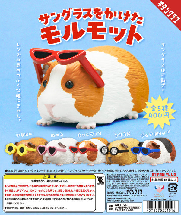 Sunglasses Guinea Pig Blind