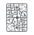 Warhammer Age of Sigmar Vanari Auralan Sentinels