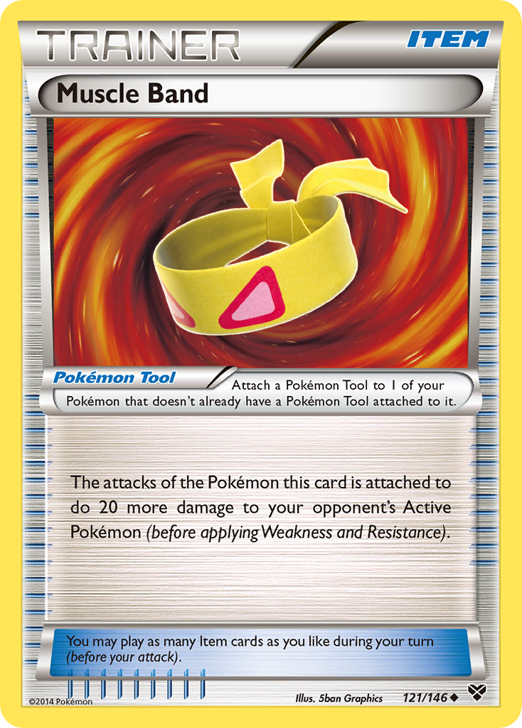 Muscle Band 121 146 Xy