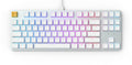 Glorious PC GMMK White Ice TKL RGB LED Double Shot ABS Mechanical Keyboard