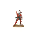 Warhammer 40000 Aeldari : Storm Guardians / Guardian Defenders