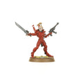 Warhammer 40000 Aeldari : Storm Guardians / Guardian Defenders