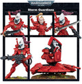 Warhammer 40000 Aeldari : Storm Guardians / Guardian Defenders