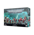 Warhammer 40000 Aeldari : Storm Guardians / Guardian Defenders