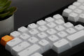 Tai-Hao White Rose 110 Key BOBO Profile Double Shot ABS Keycap Set