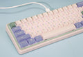 Varmilo Minilo VXT67 Eucalyptus 65% Hotswap Wireless RGB Mechanical Keyboard