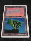 Volcanic Island — ID 17416