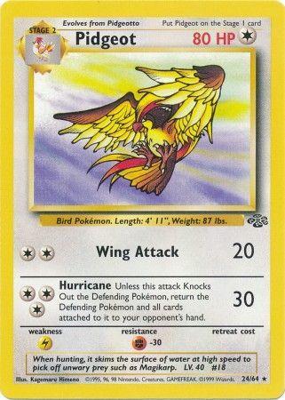 Pidgeot (24/64) - Jungle Unlimited