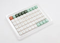 Ducky Dino 132 Key MDA Profile Dye Sub PBT Keycap Set
