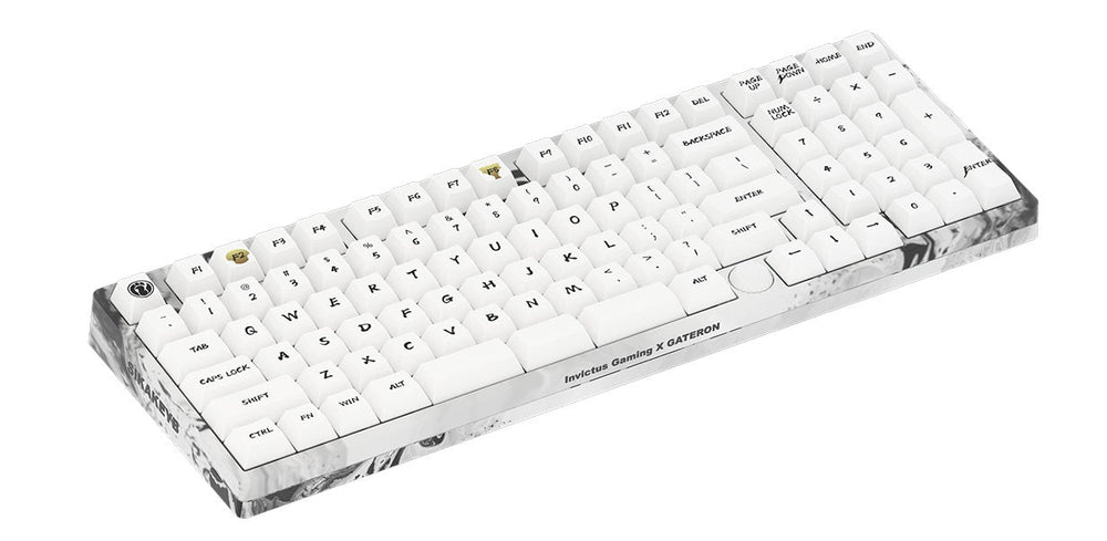 Gateron x invictus Gaming iG 98 Splashing Ink 98% Hotswap Bluetooth + 2.4 GHz. RGB Mechanical Keyboard