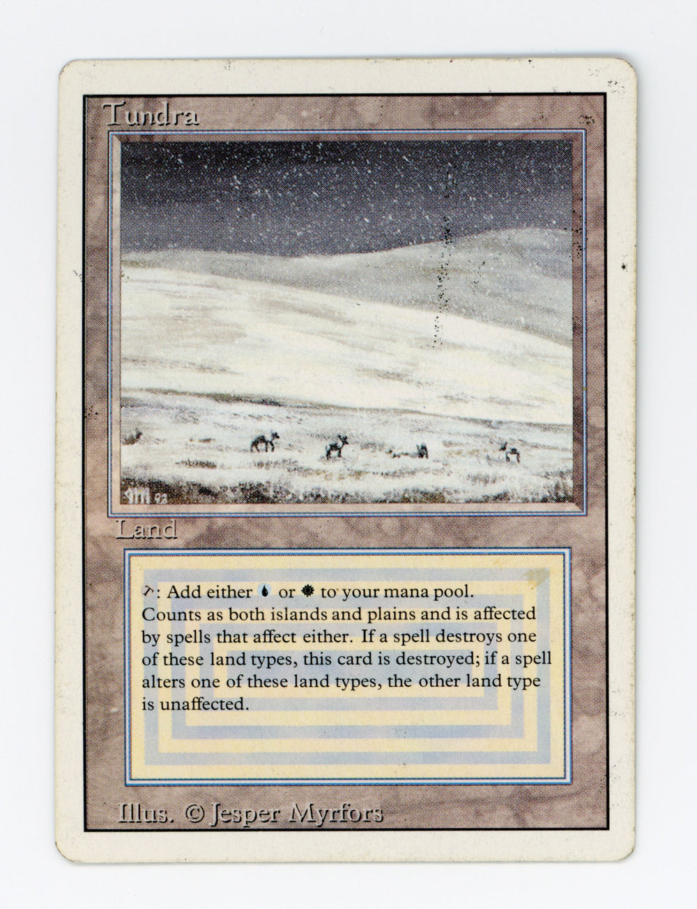 Tundra — ID 17408