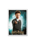 Dragon Shield Standard Matte Art Card Sleeves Wizarding World Harry Potter 100ct