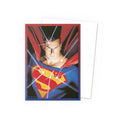 Dragon Shield Standard Brushed Art Card Sleeves Superman Series No 1 Superman (Alex Ross) 100ct