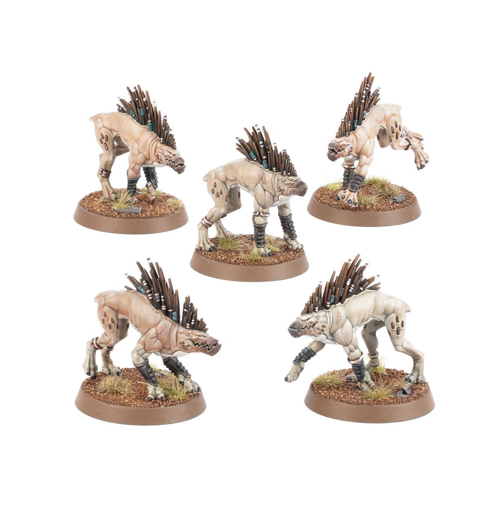 Warhammer 40,000 T'au Empire Kroot Hounds