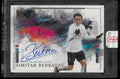 2024-25 Panini Impeccable Premier League Canvas Creations Auto Dimitar Berbatov /99