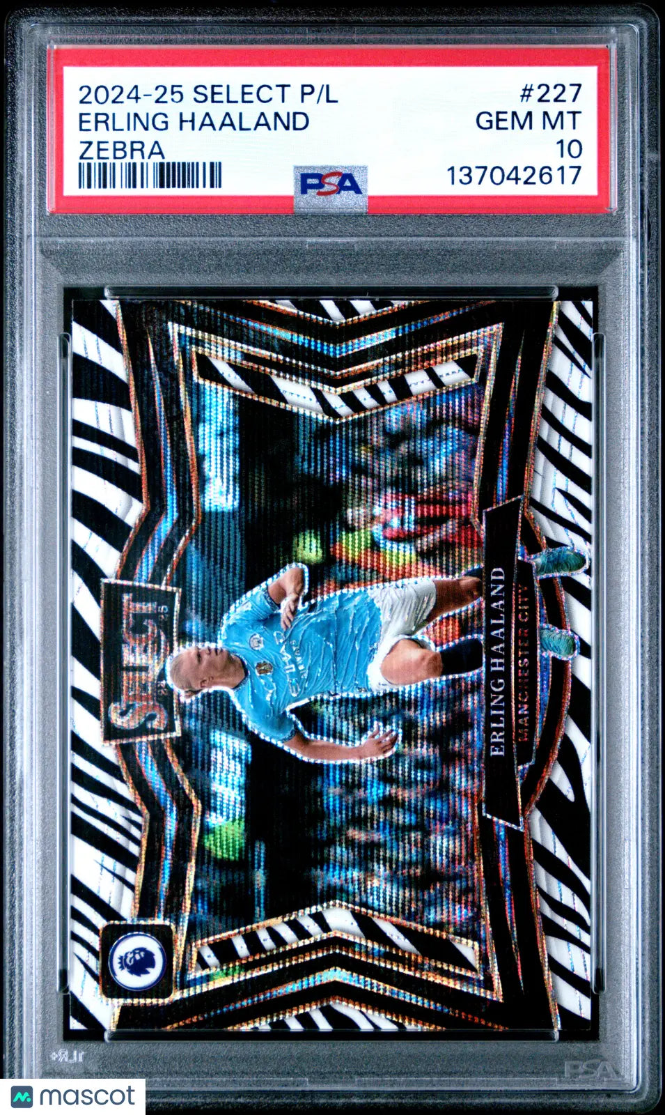 2024-25 Panini Select Premier League Erling Haaland #227 Zebra PSA 10
