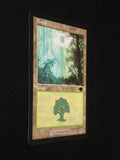 Forest - Guru