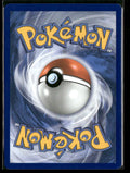 2026 Pokemon Perfect Order Special Illustration Rare Rosa's Encouragement 123/088