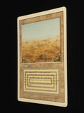 Scrubland