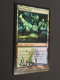 Breeding Pool - Signed