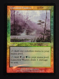 Llanowar Wastes
