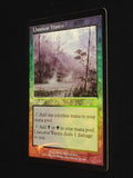 Llanowar Wastes