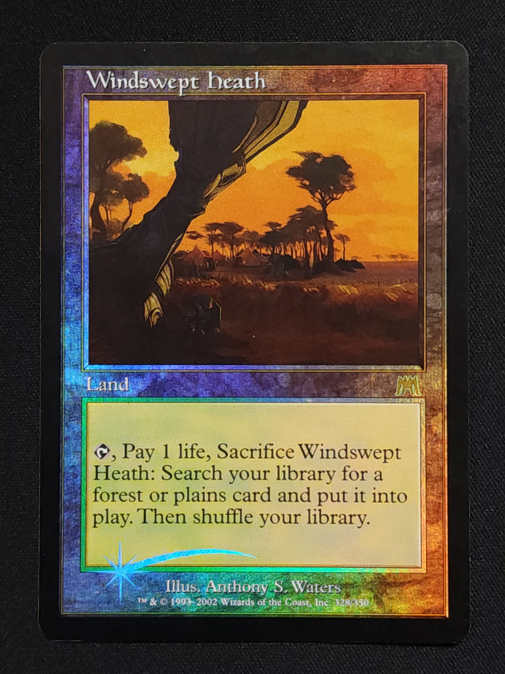 Windswept Heath