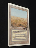 Scrubland - Signed