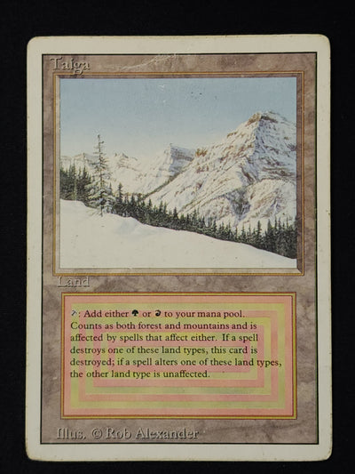 Taiga