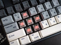 Varmilo APT87 Yakumo TKL Hotswap Wireless RGB Keyboard