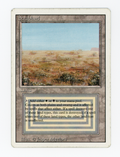 Scrubland — ID 16734