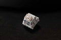 Wekt Wild Gardenia Linear 45g Plate Mount Switch