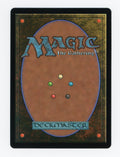 Force of Will — Japanese|Borderless|Silver Scroll Foil — ID 17676