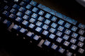Traitors Kaiju 108 Key Cherry Profile PBT Keycap Set