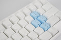 HHKB Sky Blue 60 Key PBT Topre Keycap Set
