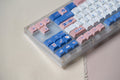 Vividkey Take Away Sushi Keycap Set