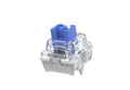 TTC Brother V2 42g Clicky PCB Mount Switch
