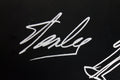 Stan Lee Authentic Signed 16x20 Canvas w/ Spider-man Sketch PSA/DNA #W00379