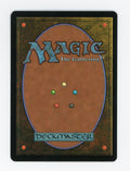 Argothian Enchantress — Foil — ID 17116