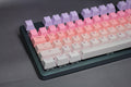 Tai-Hao Sakura Michi Backlit 140 Key OEM Profile Double Shot PBT Keycap Set