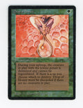 Drop of Honey — ID 17828