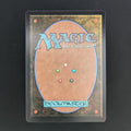 [FOIL] Arid Mesa (Borderless) (Dragonscale Foil) - Special Guests - English - NM