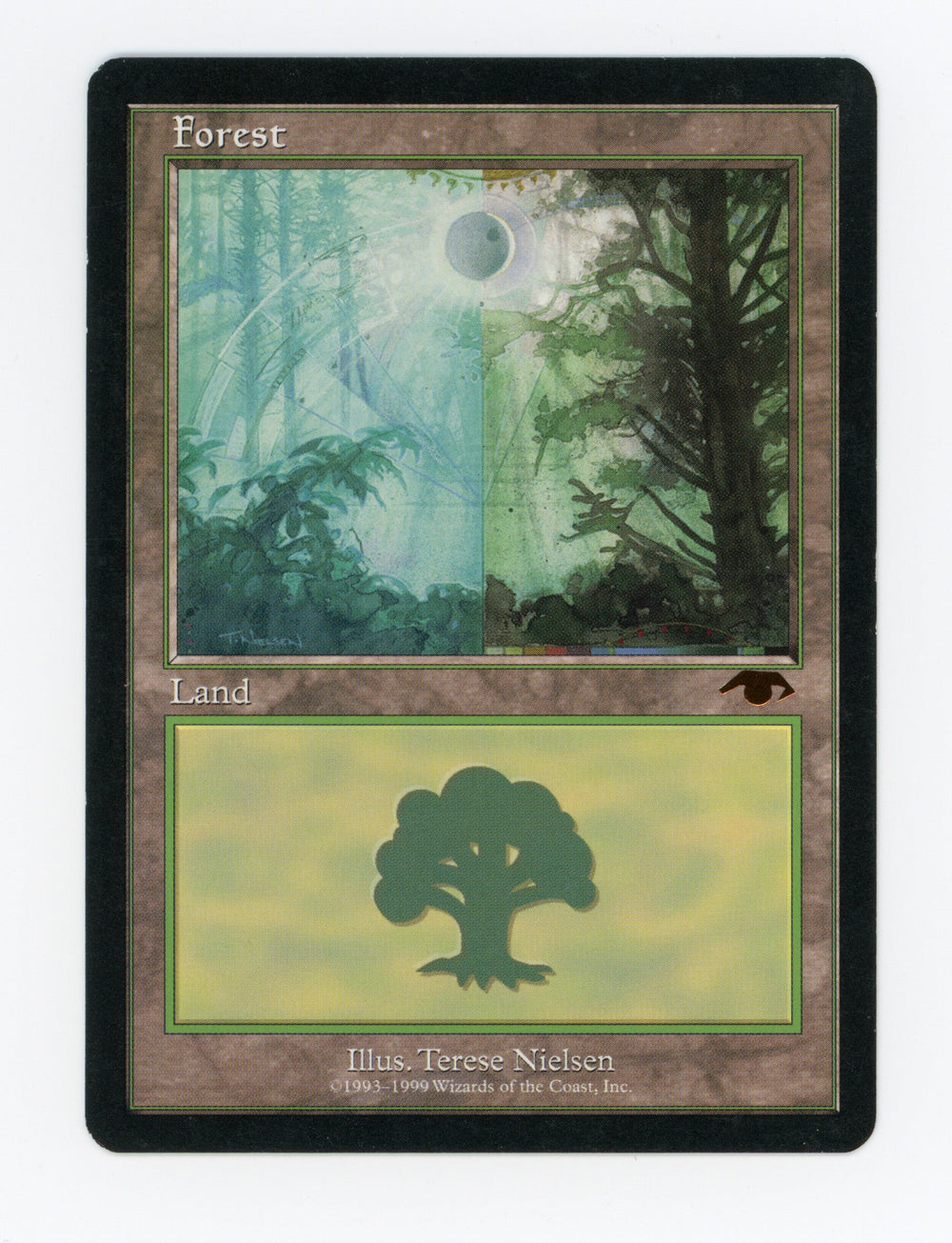 Forest — ID 17637