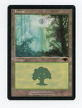 Forest — ID 17637