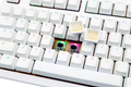 Ducky Shine 6 Golden White RGB LED Double Shot PBT Mechanical Keyboard